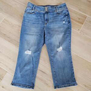 Lane Bryant Medium Blue Cropped Jeans, Sz 18 - EUC